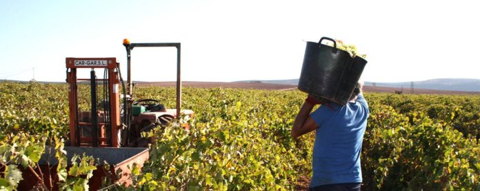 Foto de productos ecológicos