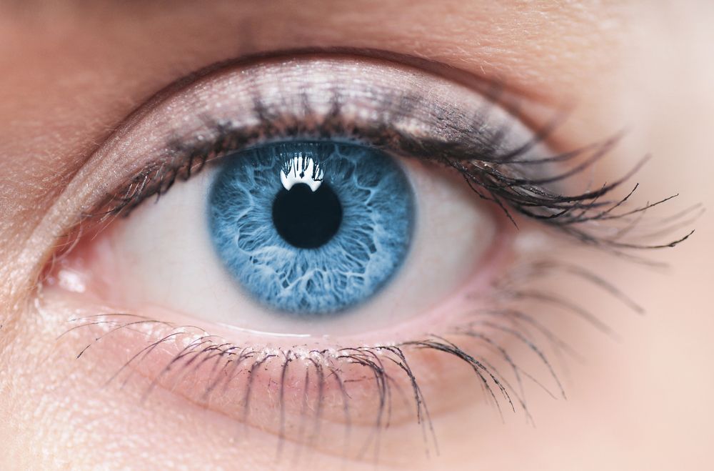 Vision Direct abre un centro de distribución en Girona