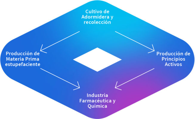 Ciclo de producción Merca2.es