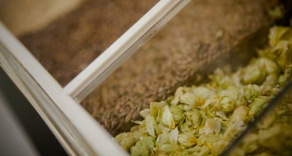 Las entrañas de una caña de cerveza al desnudo 1 Merca2.es Lúpulo paso 4 se incorpora en el proceso de ebullición e1523008314654 Merca2.es