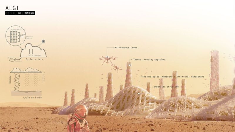 Foto de El proyecto Algi, diseñado por el IED Innovation Lab 