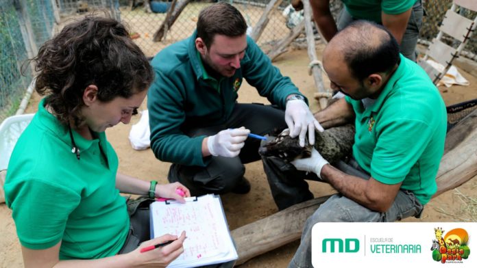 Foto de Escuela Veterinaria MasterD colabora con Oasis Park