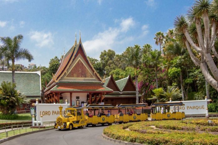 Foto de Loro Parque será sede de la reunión mundial de zoos en 2022