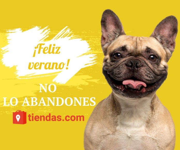 Foto de ¡Feliz verano! No lo abandones