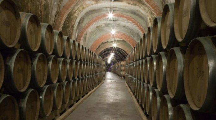 Bodegas Protos