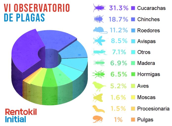 Foto de VI Observatorio de Plagas de Rentokil Initial