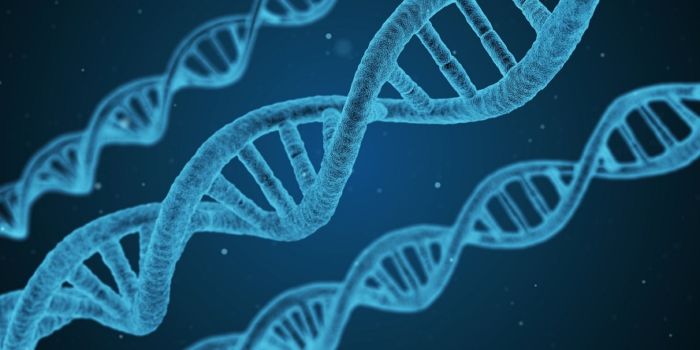 dna 1811955 1920 Merca2.es