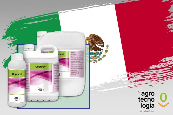 Foto de México