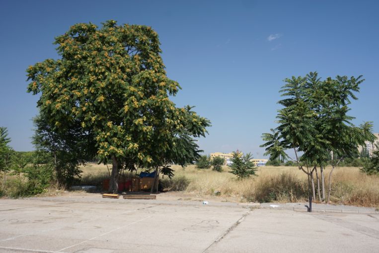 Crece la basura y los escombros en un solar de 650 viviendas fantasma.