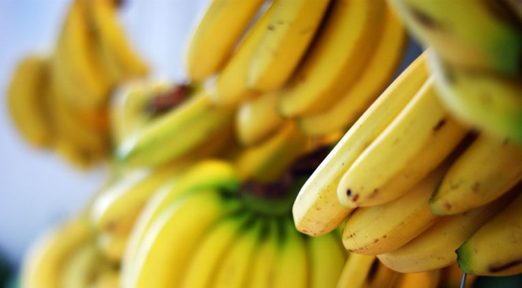 Empresas: bienvenidas a la República Bananera de España