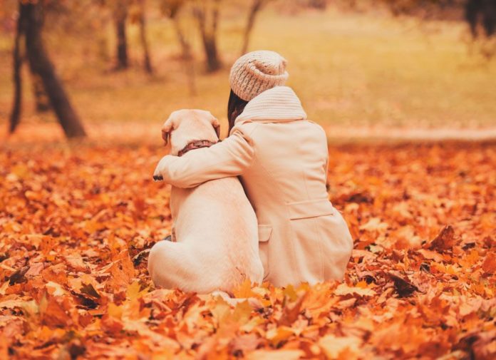 Foto de Los perros son una de las mejores compañías que un ser