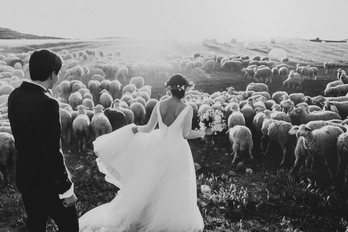 Foto de Fotógrafos de bodas