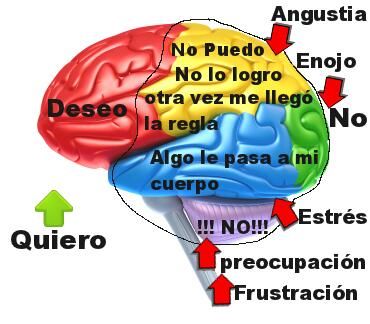 Solicitar créditos innecesarios perjudica seriamente a la población según un estudio de Repara tu deuda