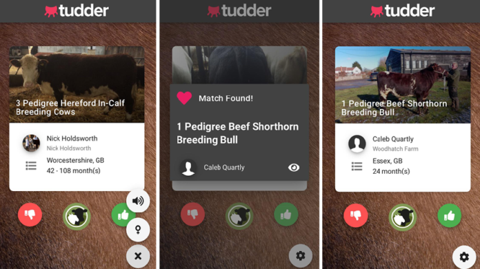 Tudder, la app para ligar de vacas y toros
