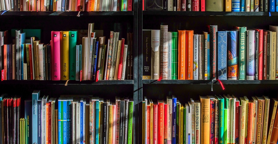 Los libros triunfan en ventas durante las rebajas