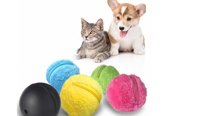 Accesorios y productos de Amazon con los que te ganarás el corazón de tu mascota