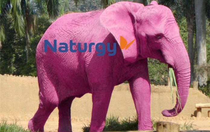 Naturgy-elefante-rosa