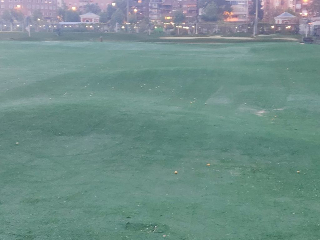 Imagen de las pelotas de golf abandonadas en el solar de Chamberí.