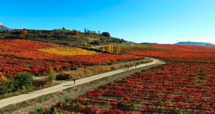 Rioja Alavesa