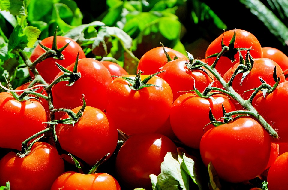 tomates contra el cáncer de mama