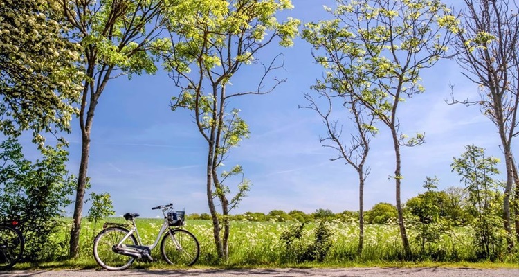 Rutas por Dinamarca Cicloturismo