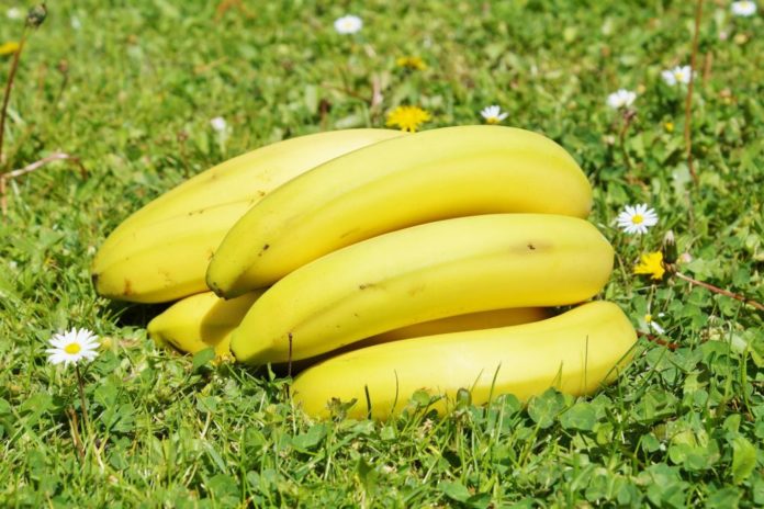 pan-bananas