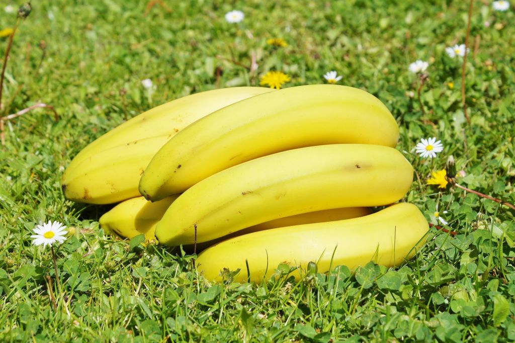 Descubre el pan de banana y por qué debe ser  Imprescindible en tu dieta