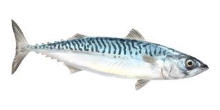 pescados