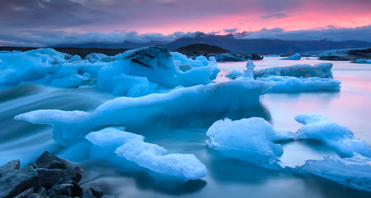 Cambio climático: Estas son las nuevas enfermedades incurables que están apareciendo