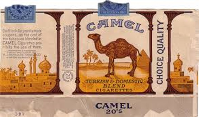 camel