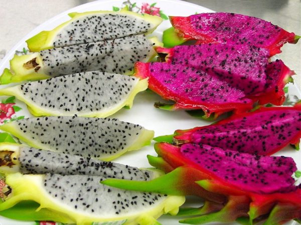 Pitahaya 