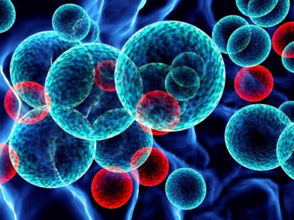 Leucemia: el cáncer más agresivo 1 Merca2.es leucemia