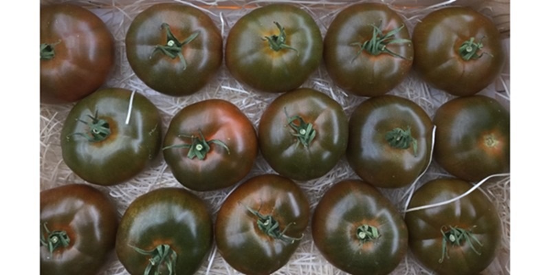 Estos son los tipos de tomates para ensaladas