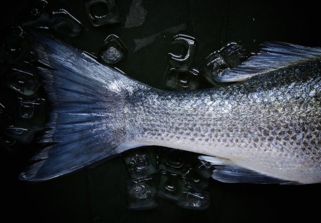 pescado con vino blanco