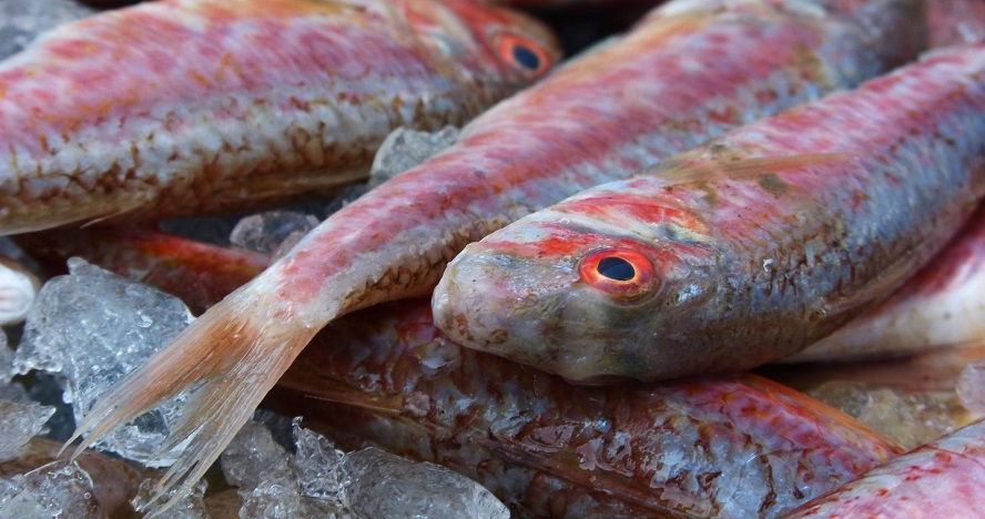 El Gobierno lanzará una campaña en septiembre para paliar la caída del consumo de pescado
