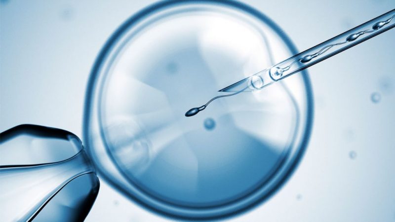 Mapfre, Asisa, Adeslas ¿cuál es el seguro de salud con más coberturas? 5 Merca2.es mapfre