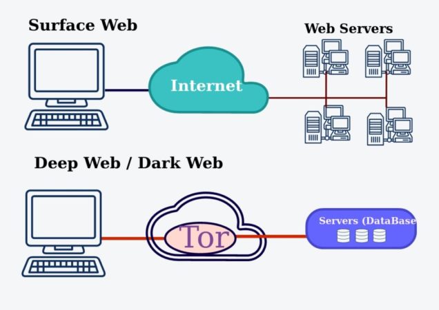 Diagrama de acceso a la web superficial y deep