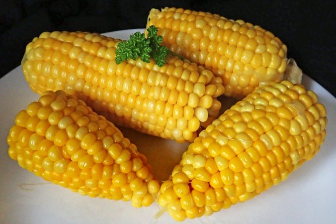 maíz 