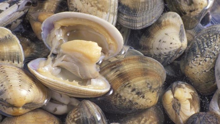 Estos son los peligros de comer pescado crudo