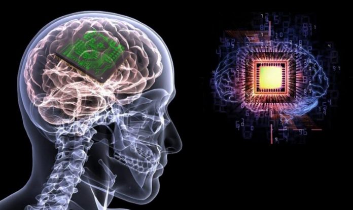 Chip y cerebro humano