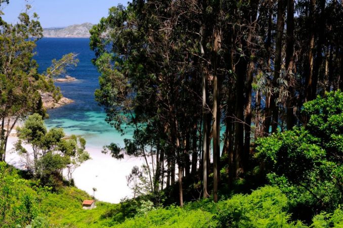 Playa Figueiras en España