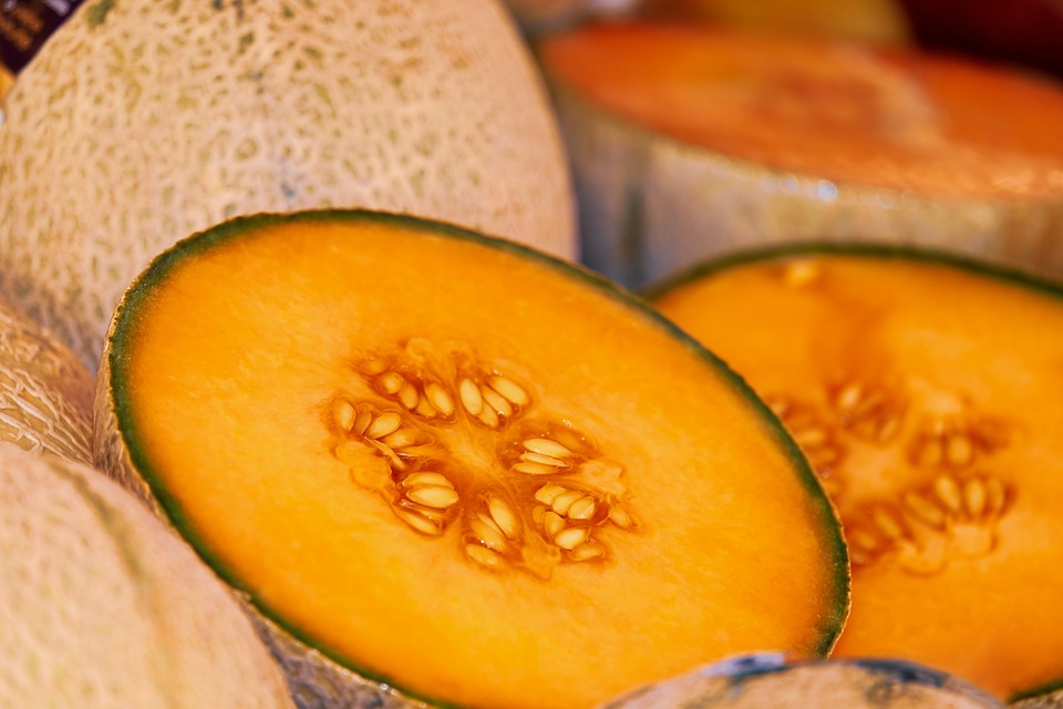Melón amarillo, cantalupo, galia... conoce sus diferencias 17/10/2019