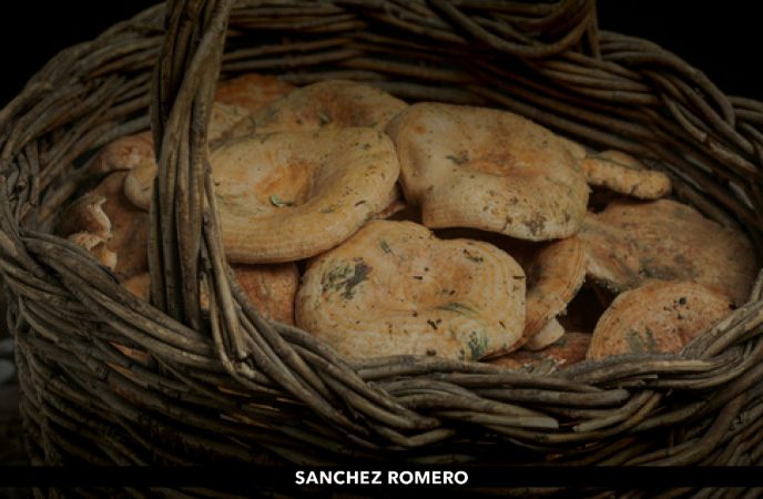 Sánchez Romero
