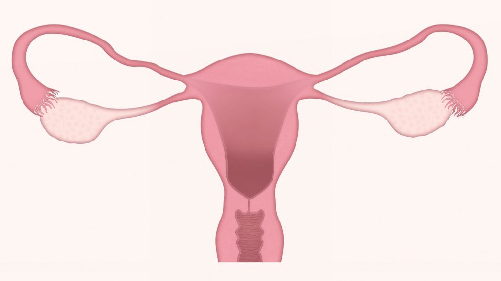 Los 8 factores que influyen en tener cáncer de útero