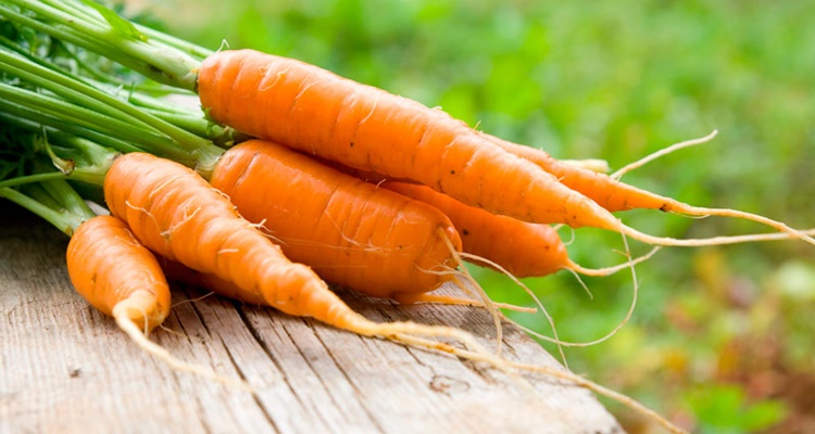 Beneficios que no conocias de las zanahorias