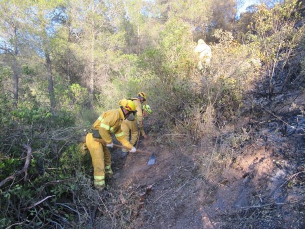 abores de prevencion incendios forestales