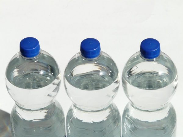 Botellas de agua para mascota verano