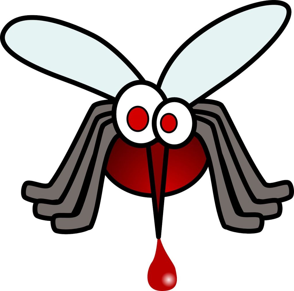 Mercadona, Lidl, farmacia: los mejores antimosquitos ¡para que no te piquen!