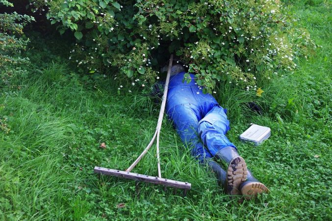 Siesta verano