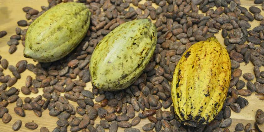 Estos alimentos son afrodisíacos, pero solo los valientes los comen